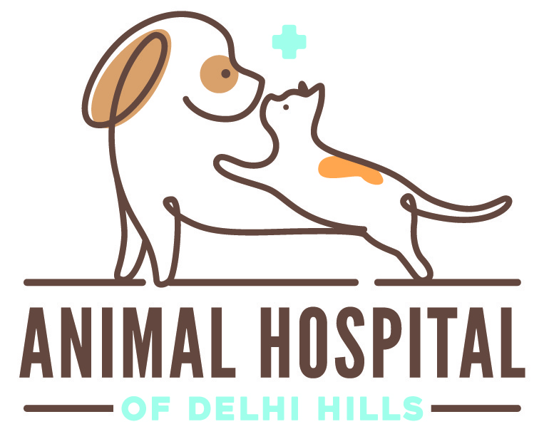Best Veterinary Hospital in Cincinnati, OH - Animal Hospital of Delhi Hills